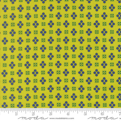 PREORDER || Maker's Delight - Handwork Blenders Acid Green