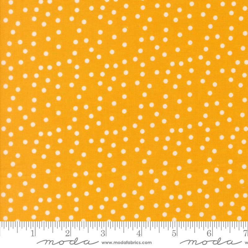 PREORDER || Maker's Delight - Small Dot Dots Chrome
