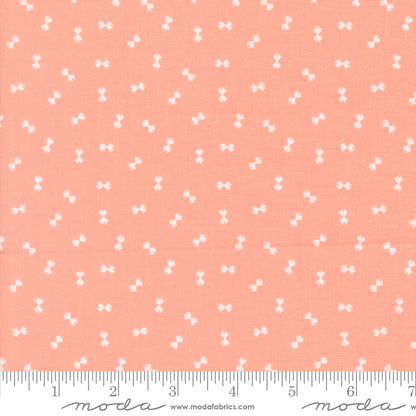 PREORDER || Handmade Sweetness - Confetti Blenders Peach