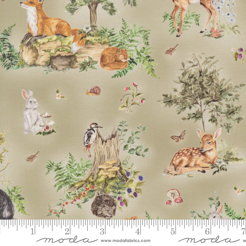 PREORDER || Fable & Fern - Beneath the Trees Sage