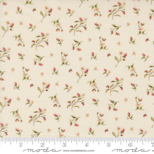 PREORDER || Fable & Fern - Berry Brambles Eggshell