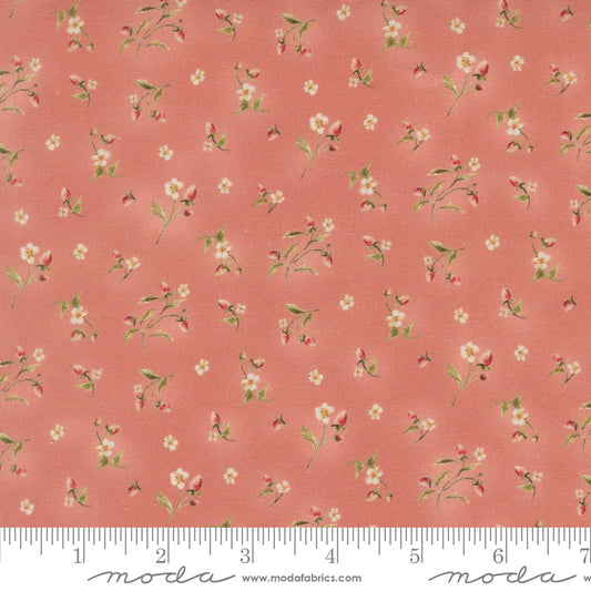 PREORDER || Fable & Fern - Berry Brambles Rose
