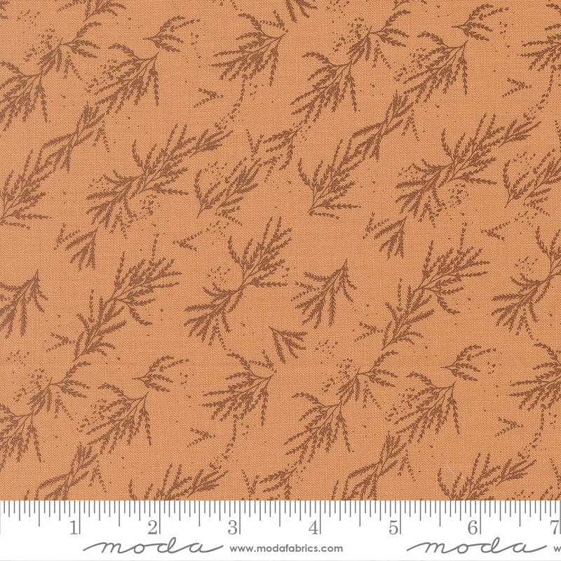 Wellspring - Branches Blenders Coral Seashells