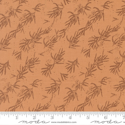 Wellspring - Branches Blenders Coral Seashells
