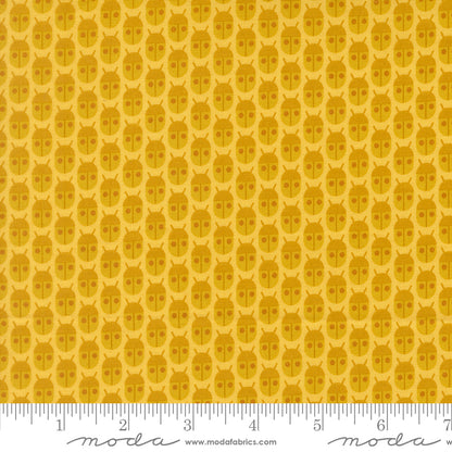 PREORDER || Popcorn - Layer Cake (42)