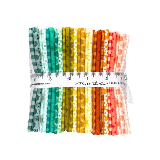 PREORDER || Popcorn - Fat Quarter Bundle (25)