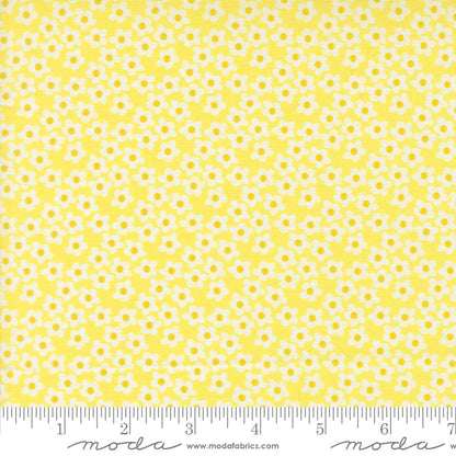 PREORDER || Popcorn - Layer Cake (42)
