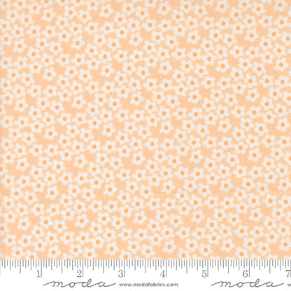 PREORDER || Popcorn - Layer Cake (42)